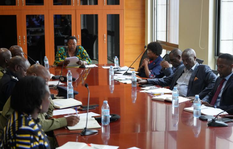 RDC zoom meeting
