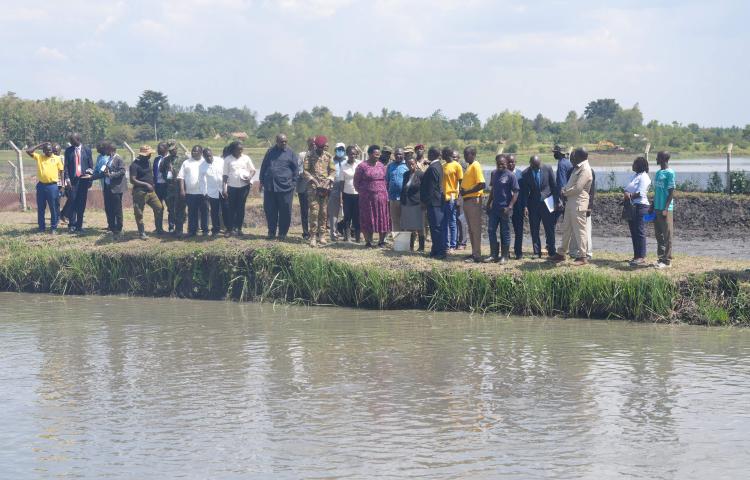 Limoto wetland restoration project rapid assessment